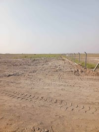 30 دونم طابو زراعي سند 25 على طابو الفلوجة فتح بيان ثاني يوم بأسمك متو...
