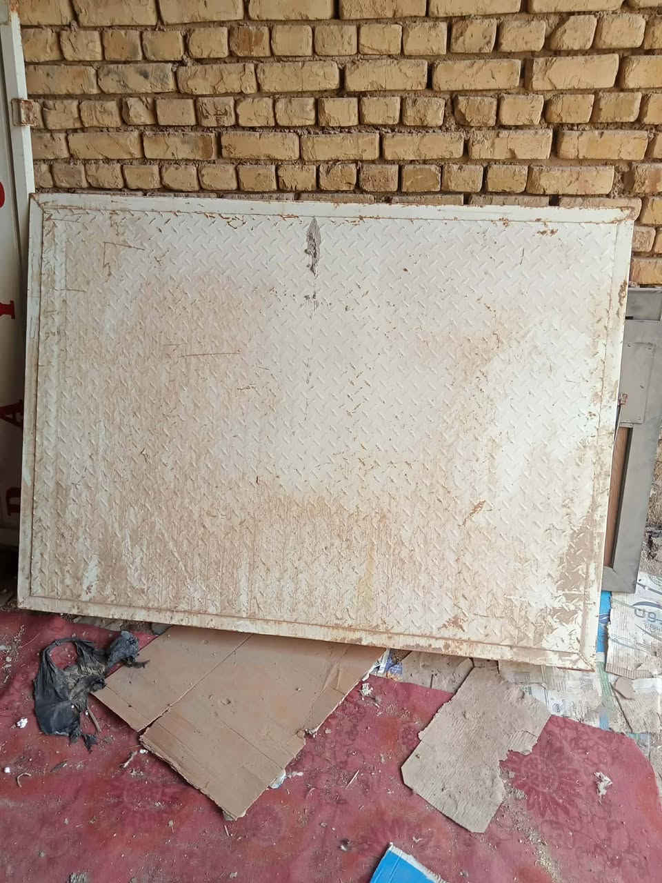 بلادي ١٩ • بدون ستوته • التضحيه