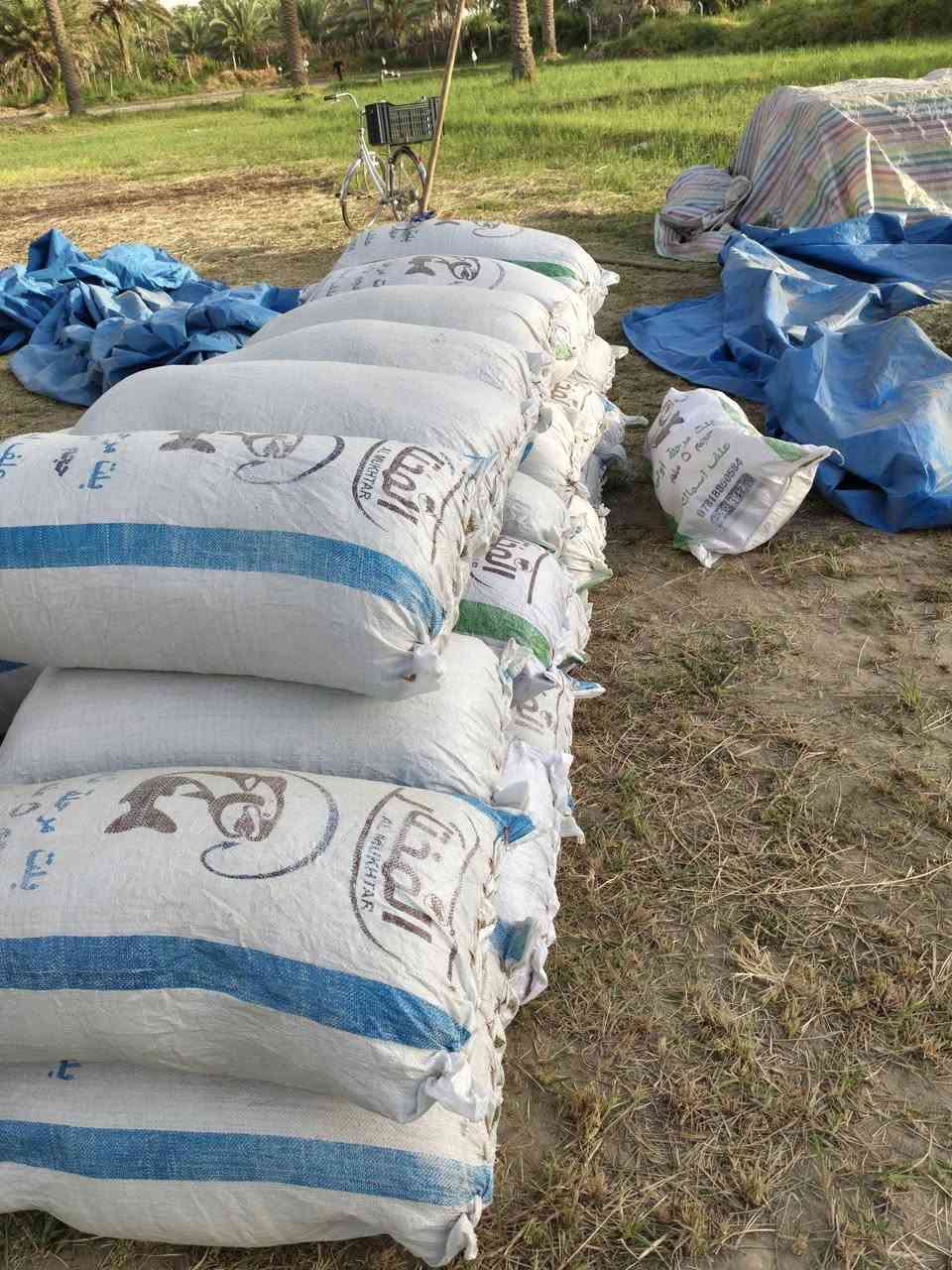 سلام عليكم تبن جت للبيع سعر الزوج ب11 ألف مكاني بابل سدة الهنديه يم معمل الغاز ***********
