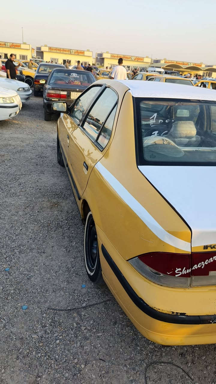 سمك مدير 11 • فيها مجال • للبيع