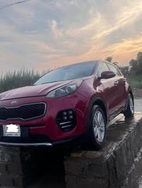 سبورتج • ٢٠١٧ • وارد امريكي