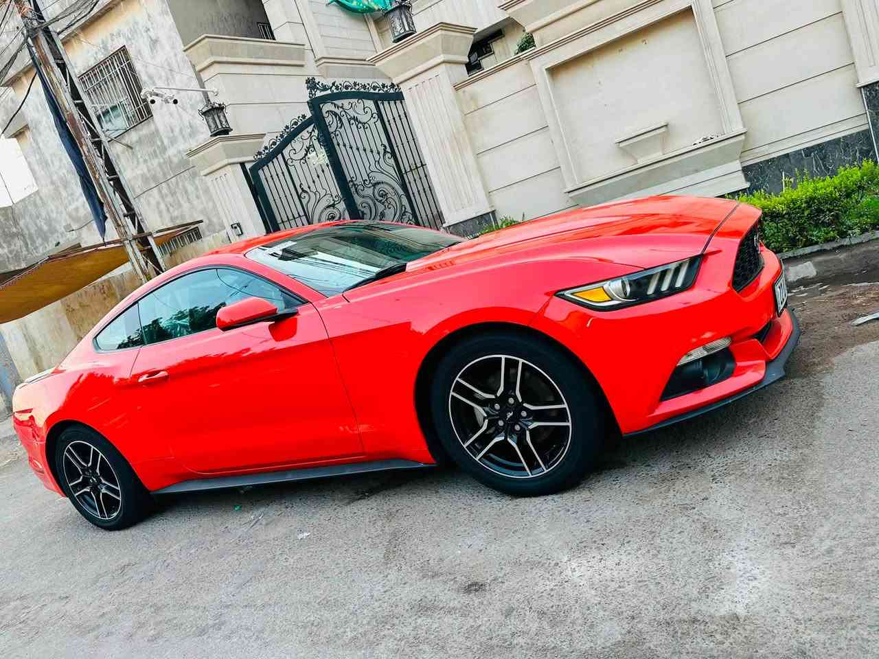 سلام عليكم  موستنك كلين ولون مميز برتقالي 🧡🍊
موديل 2015السياره كفاله عامه من صبغ ضربه تبديل حته دعاميات بلاديه قطره صبغ ما بيهه كلين كلين 
    محرك V6🐎🐎
ماشيه ٧٣ 
  
تخم تاير جديد صدر جديد 
أناره داخليه برميوم 
اكزوز اصلي تحكم من يمك
منضومه زنون اصلي ضمان ١٠ سنوات بيهن اصلي 
كاعيات الشركه وكتلوكات بعدهه بيهه 
تعال وشوف بعينك 
    ما يحتاج اشرح عليها الشراي يتصل السياره ابسمي  مكاني بغداد
السعر ١٦٥ وبيهه مجال   و. مراوس ابسياره ٤ بوي حسب القناعه 
غير متواجد ع فيس الشراي  يتصل ويدلل 
   رقم الهاتف ***********
