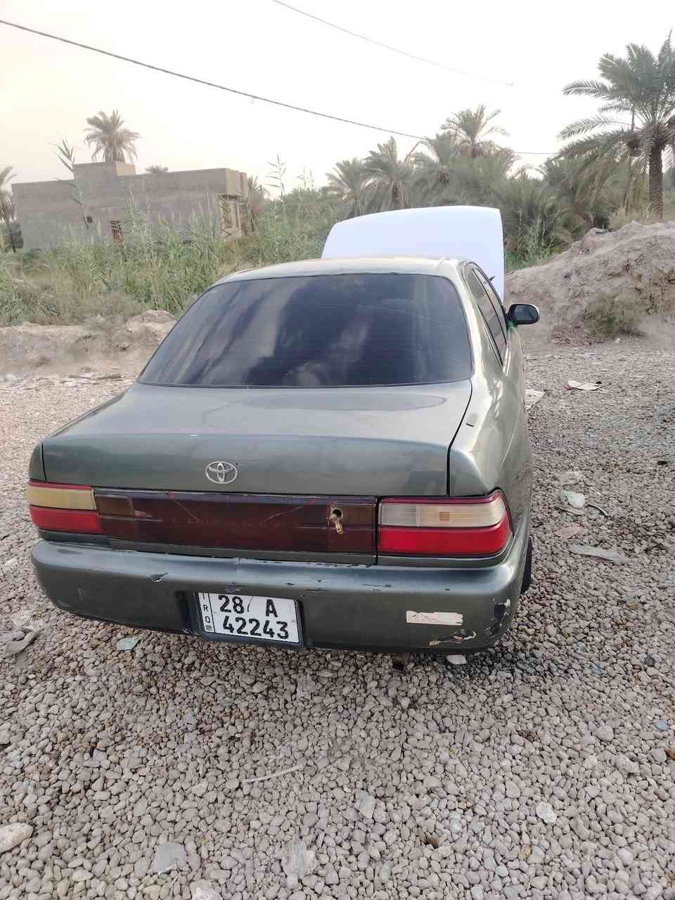 السلام عليكم كورلا مديل 92 رقم نجف انكليزي مكفوله من الكصه والاصوليات. كهربائيات شغاله تبريد عاطل  حداديه زينه مكينه ماتبخر كير زين
السياره بيه ضربه بجنطه فقط لحد يجي يكلي شبيها مابيها كل التفاصيل ذاكره راعيه بلنجفز

مكاني نطف ابوصخير 

السعر 30قفل ولحد يكلي 29 كلامي واضح

السلام عليكم كورلا مديل 92 رقم نجف انكليزي مكفوله من الكصه والاصوليات. كهربائيات شغاله تبريد عاطل  حداديه زينه مكينه ماتبخر كير زين

***********
