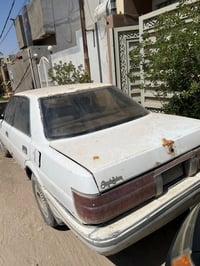 هارتوب • ١٩٩١ • بدون صبغ