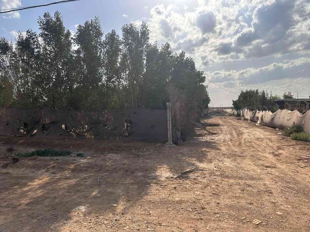 لا توجد تفاصيل
