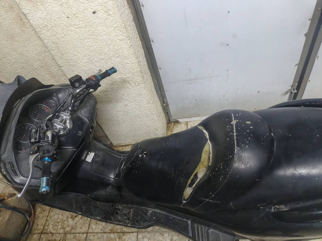 فورزه • ٢٠٠٨ • معدل