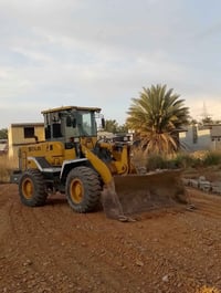شفل • ٢٠١١ • تحويل مباشر