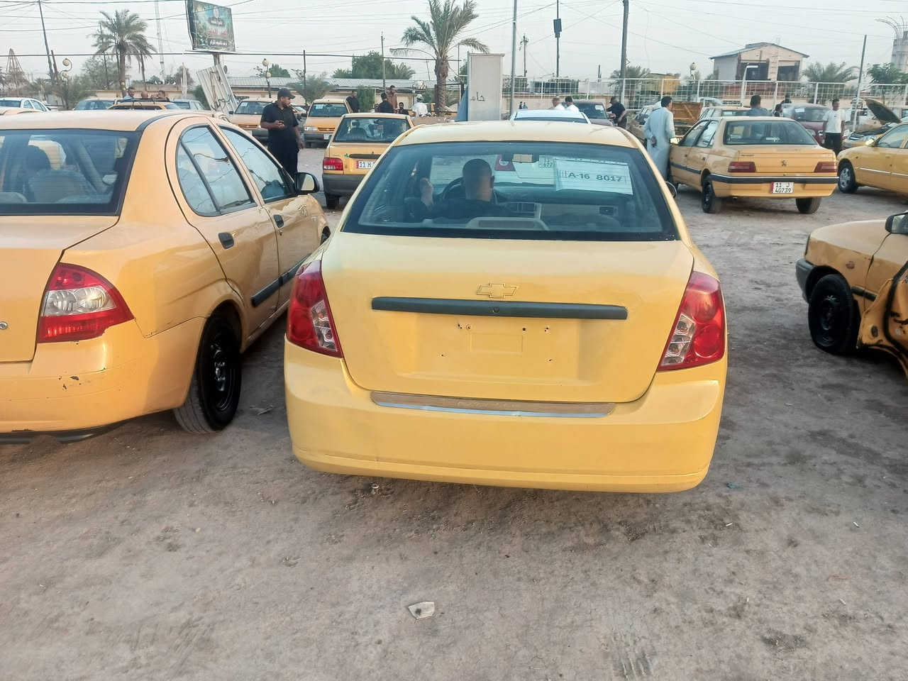بترا فورزا • ٢٠٠٨ • حادث من امريكا
