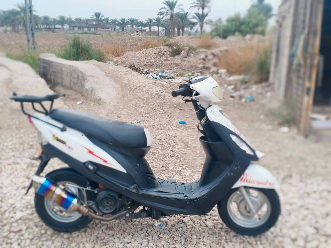 ماكس • بوشه 55 • بابل الحله