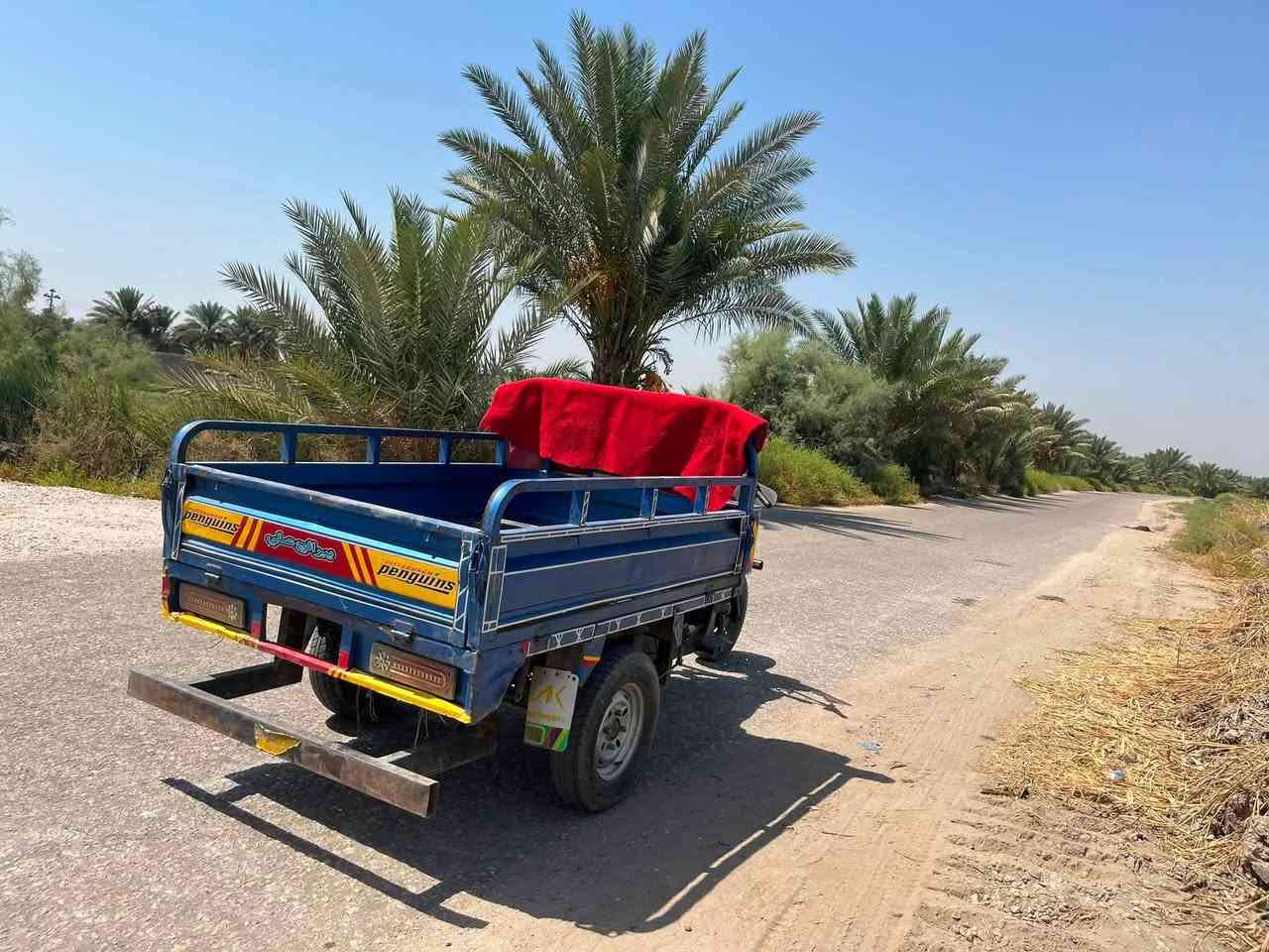 ستوته دايون 17 كفاله عامه  وراق اصولي مكينه نضيفه كهربائيات كامله قطره لحيم مابيه السعر قفل قفل ٩٠٠ مكاني صدر الدغاره ***********
