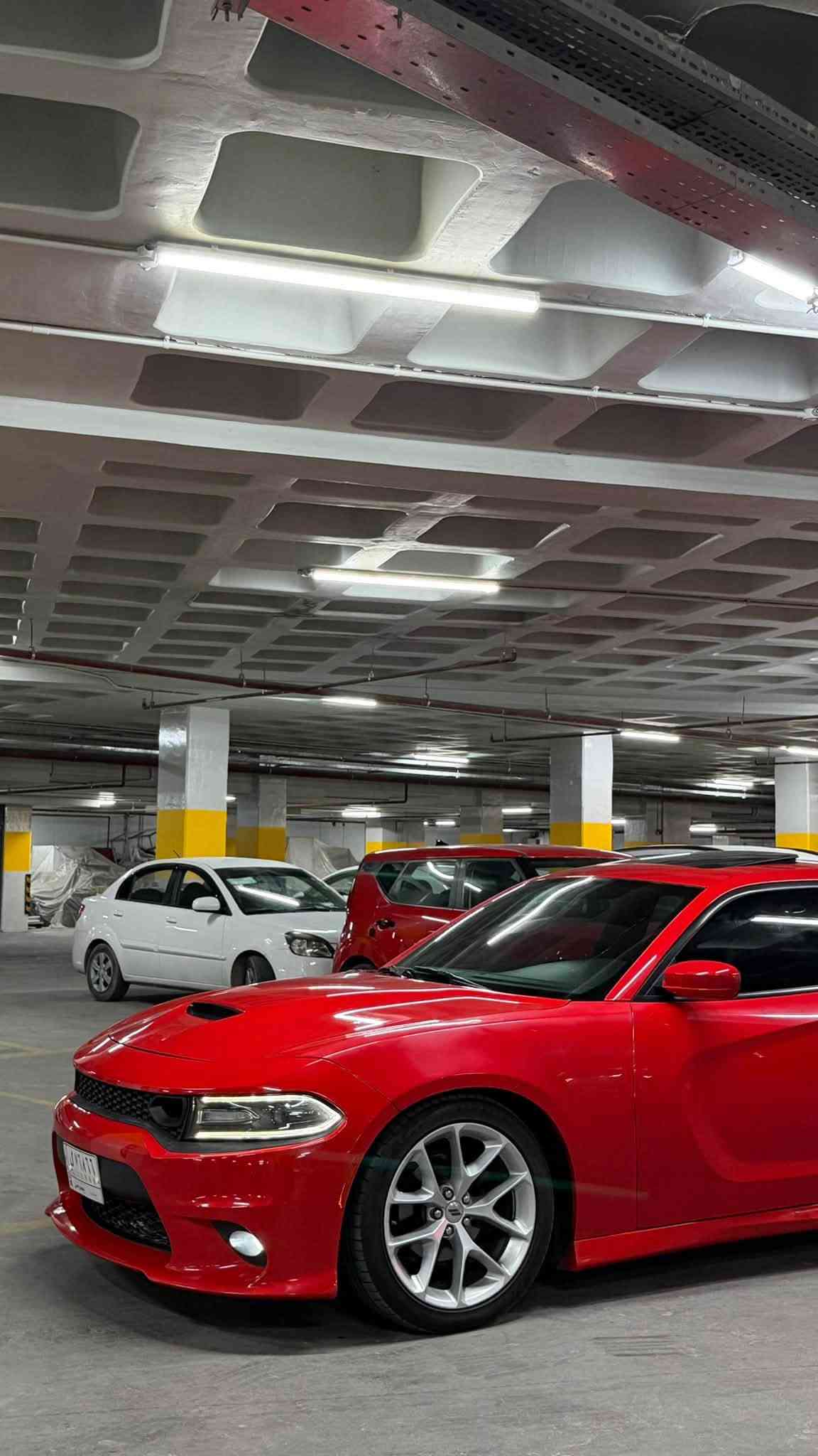 سلام عليكم جارجر 2020 SXT فول
رقم بغداد باسمي جاهزه من كلشي  بجم كبس حادث جاملغ وربع باب السياره فول مواصفات فتحه كشن حضن حار بارد محدثها جيتي كت اصلي السياره على ايد وحده من موديلها لسه مكاني كربلاء سعرها (215)للاستفسار (***********)
