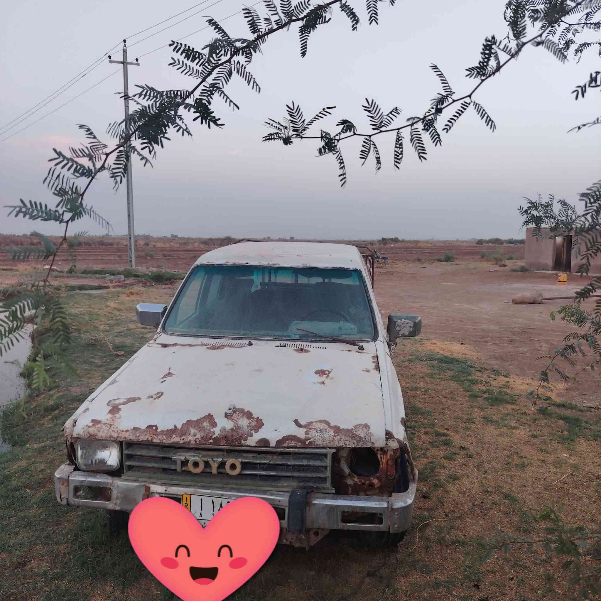 بيكم ٨٨ • المثنى • شاصي مكفولات
