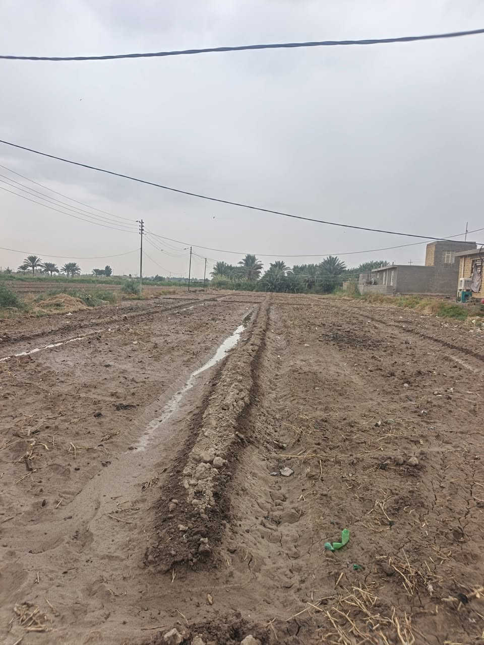 اليوسفيه • أرض زراعية • دونم ونص