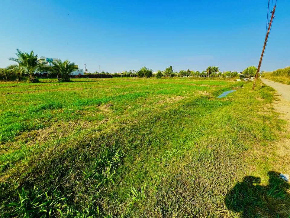 السلام عليكم  
قطعة ارض 4 دونم مع بيوت عدد 2 للبيع 
الواقعه في الحيدري بيت سعد البعيجي 
قرب ثانوية الحيدري المختلطة
الارض عقد 125 مساحة 4 دونم
الارض تحتوي علئ 
بيوت عدد 2
حديقة كبيره واجهة البيتين
سياج سيم BRC محيط القطعة
موطور هندي فلاوين 
موطور كهربائي ابو ال 3
الشارع قشط تبليط
و باقي التفاصيل موضحة في الصور من اشجار و نخيل التربة خير من الله حلوه 
للاستفسار عن السعر او اي تفاصيل اخرى الاتصال 
***********
***********
