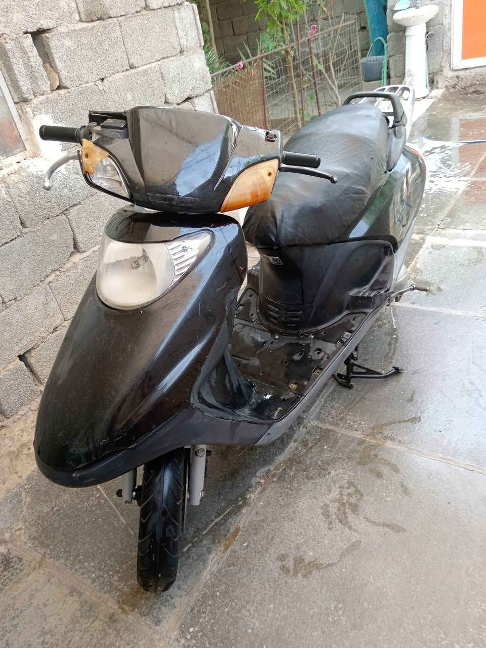 سبيسي • ياباني • جاهزه