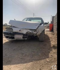 تسقيط باسمي • سعر مناسب • ديالى