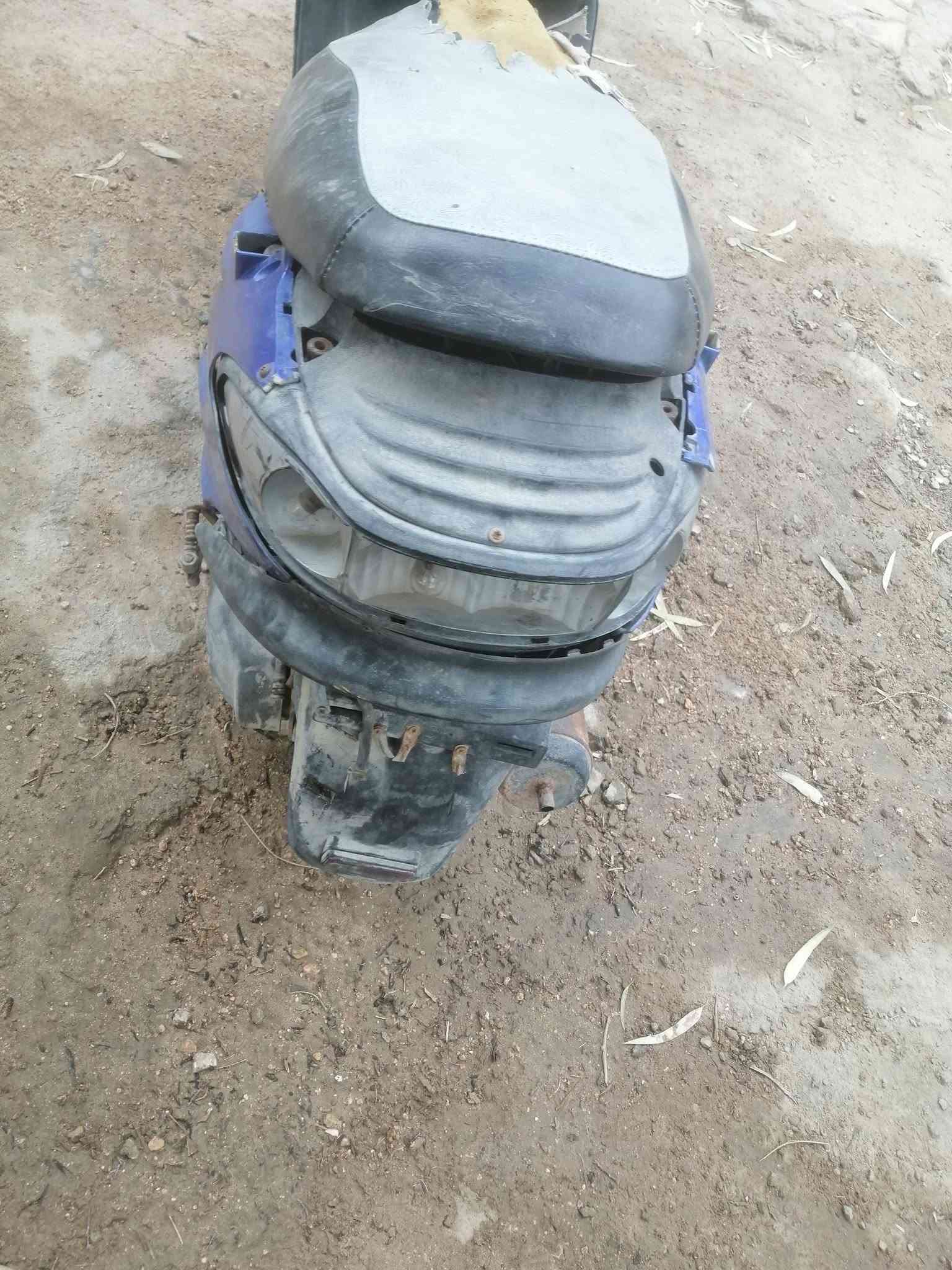 دولفين كايمه السعر ١٥٠ الف 📞 ***********
