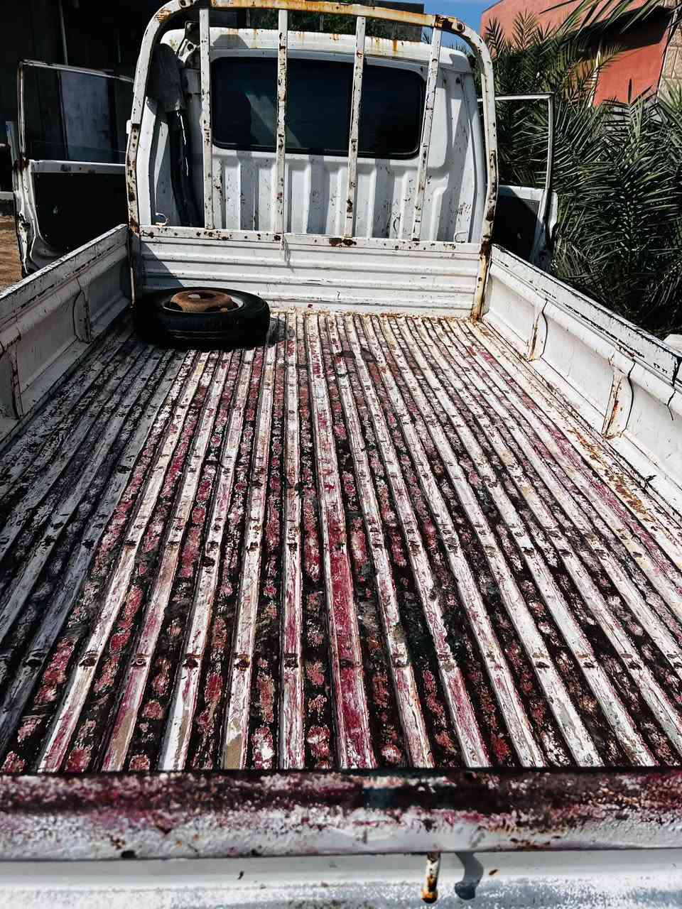بنگو • ١٩٩٥ • بدي ومكينة زينة