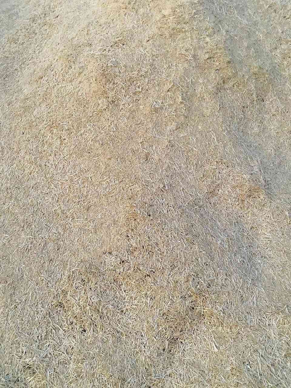 يوجد تبن نضيف مال سنه   مكان ديالى بلدروز  ***********
