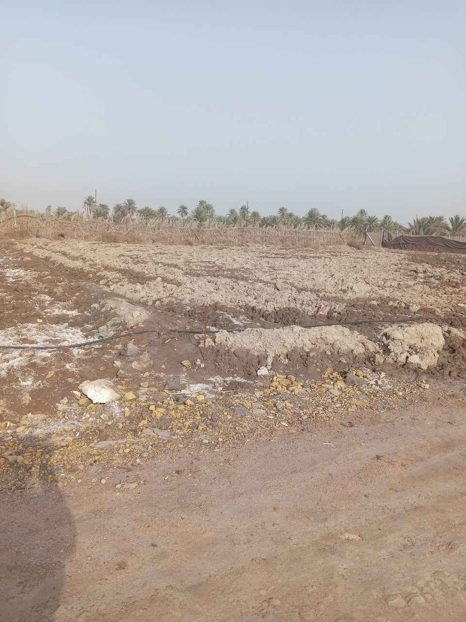 السلام عليكم الف و٨٥٠متر قريبه على الشارع العام طابو اسهم على طريق السفينه خلف ثانويت الواثق طريق السياحي الثاني ام العيش ماء كهرباء متوفر جميع المساحات متوفرء ***********
