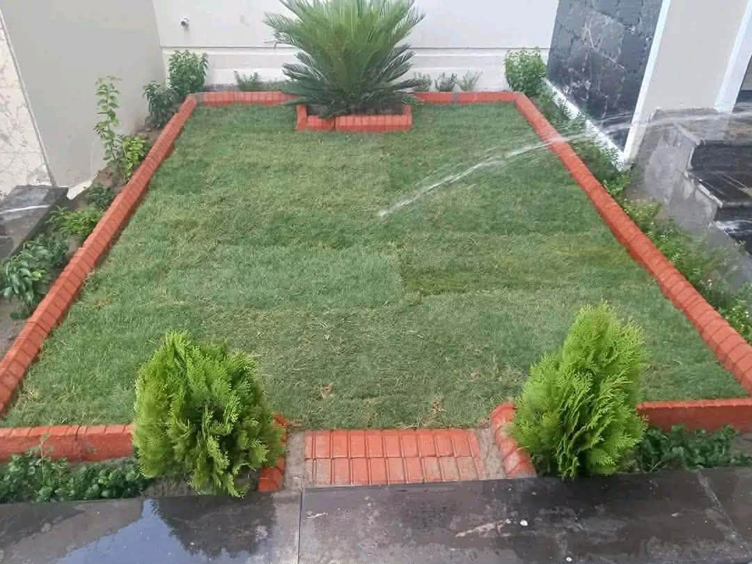 السلام عليكم يوجد كادر لعمل  الحدايق بأنواع وتصاميم مختلفه شغل مقرنص وتحفه حجر فرش زميج زرع ثيل شغل مرشات شغل نضيف لاتحتار جرب وشوف  للاستفسار الاتصال  الرقم ***********
