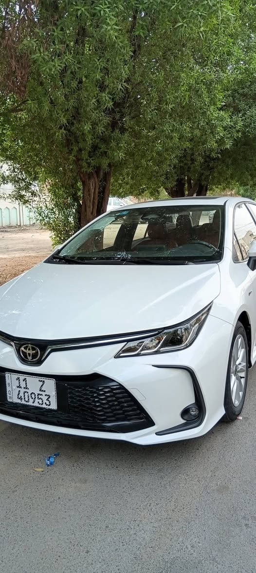 كورلا هايبرد • ٢٠٢٥ • كفالة عامة