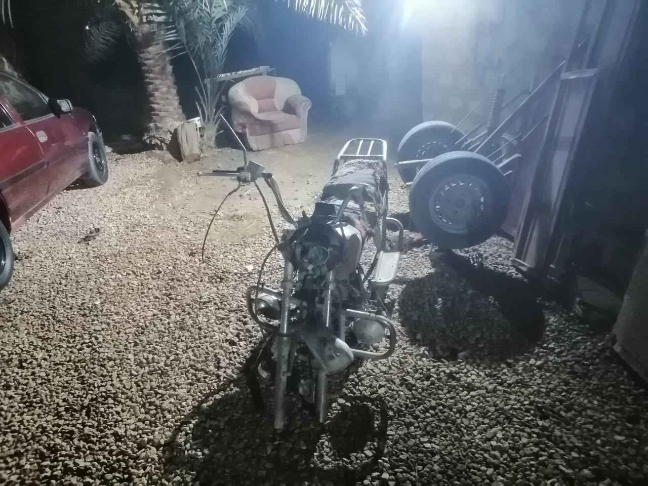 جونده • شغاله • كلك