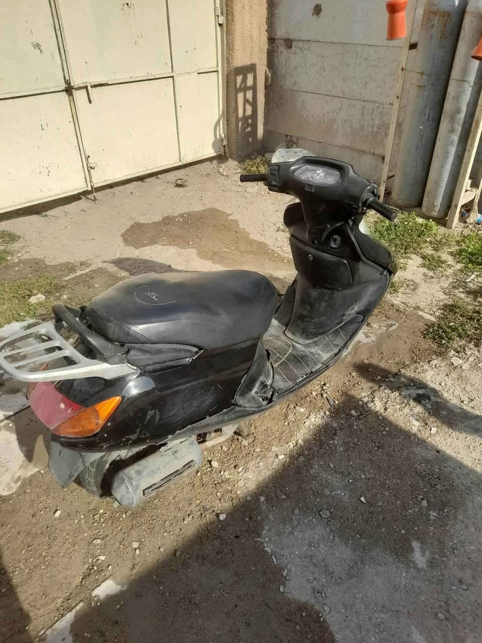 سبيسي • ياباني • متحملة