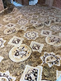 كاربت • نضافه • ٦في٤