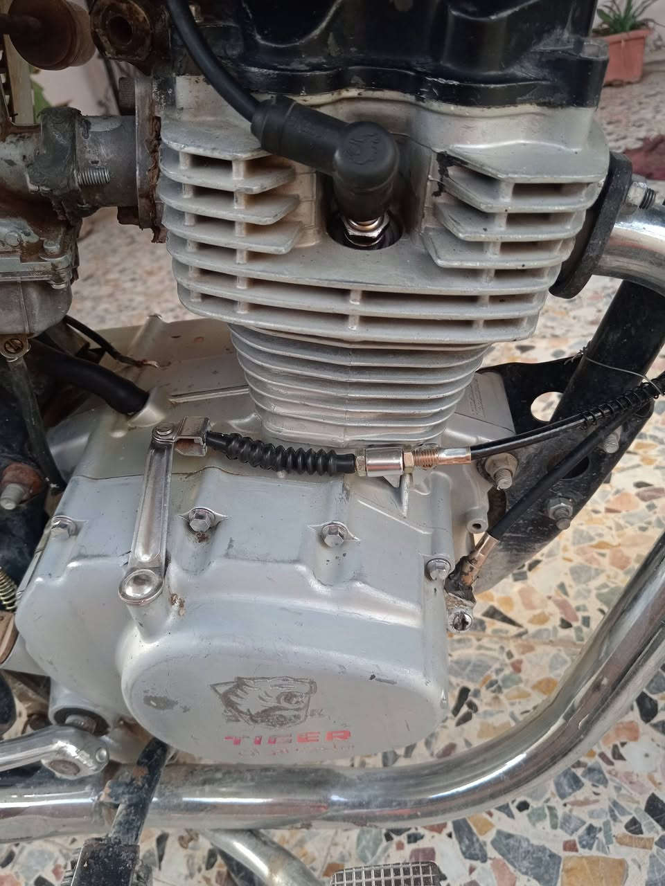 ماطور تايجر للبيع موتور حي النظيف ماكينه خرسه سعر 350 وبيها مجال مكاني ايسر ***********. وتساب ***********
