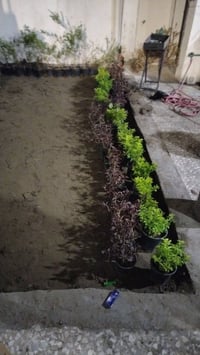 كربلاء • ديكور المنيوم مودرن • بالضمان