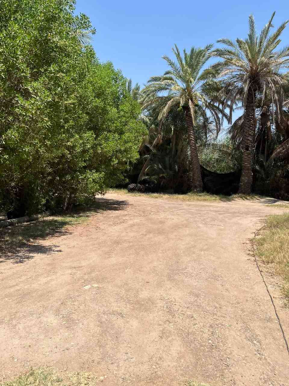 دونم ونص • بيتين • ٢٥٠م عن الطريق
