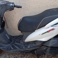 ثعلب • حديث • الرمبه