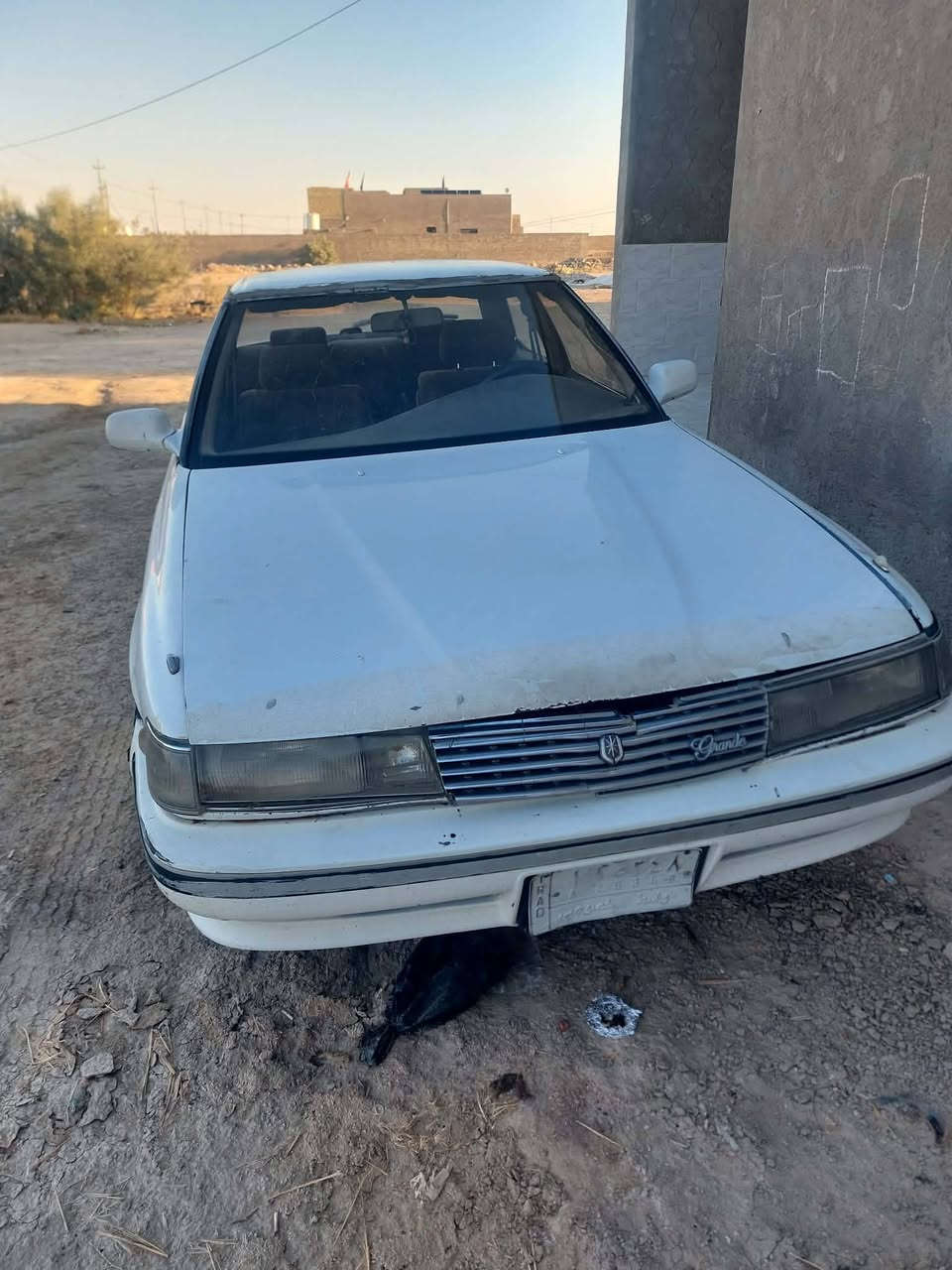 مارك عضم للبيع موديل1991
مكفوله كص ونقل وضربه قويه 
مكينه لاتنقيص ولا تبخير كير شرط حداديه جديده بس دبلات للعربانه 
السعر 38 وبيها مجال 
*********** واتساب 
المكان نجف ناحيه القادسيه
