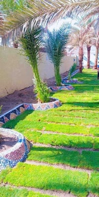 حدايق • شلالات • ديكورات