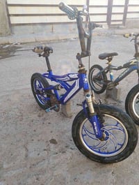 باسكلات عدد ثنين البيع  حجم  16 باسكل ازرك ما بي نقص  ثاني بس بريك خلف...