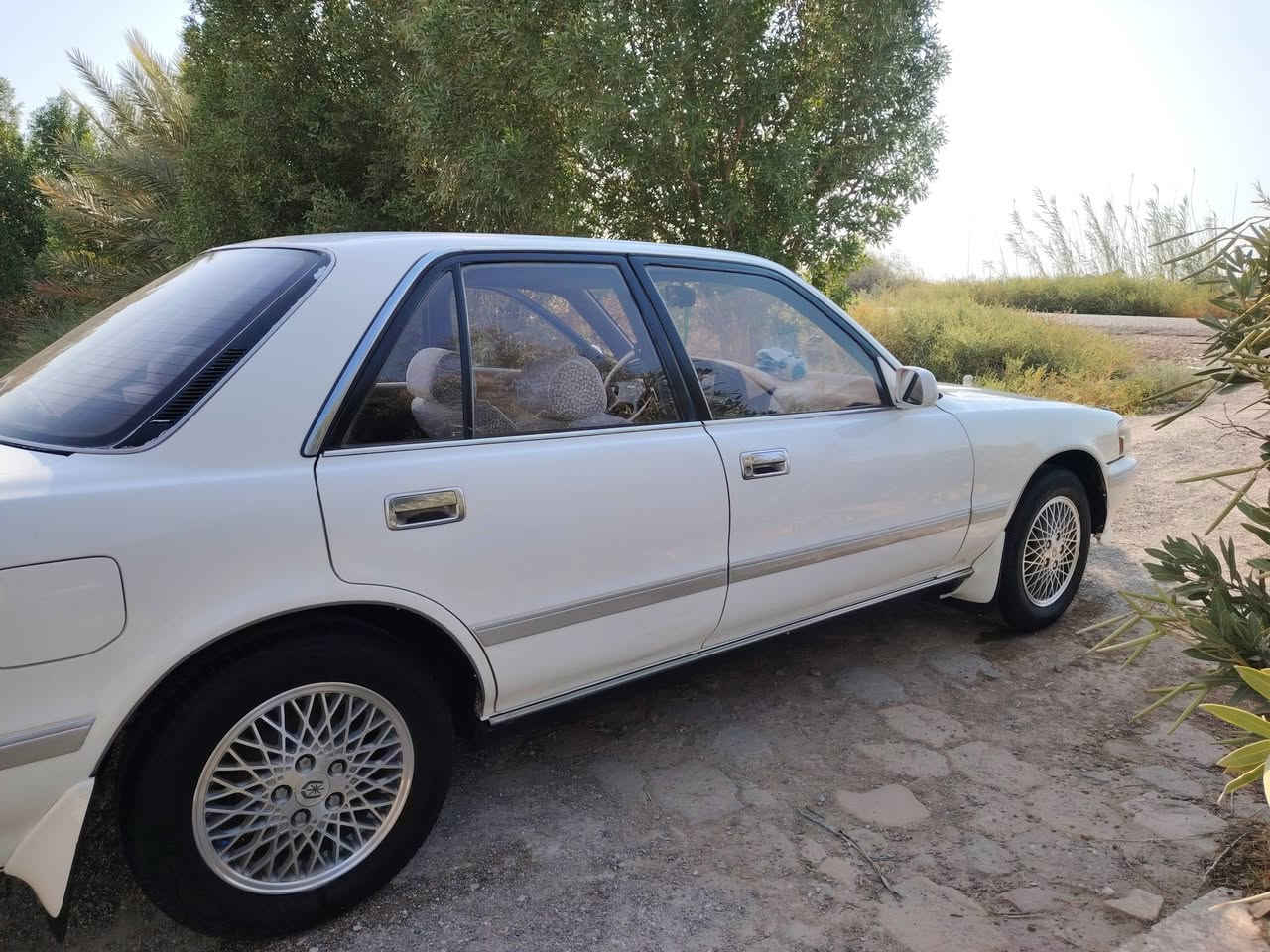 للبيع مارك تكم كربلائي موديل 1992 بلاديه بدون صبغ ماعده الدواير الخلفيه مكفوله من الاصوليات والعيب الشرعي تبريد ثلج تخم تاير حداديه كير مكينه خير من الله السياره جاهزه ماعوزه اي نقص ترايك وين ماتريد اطلع مكان السياره ذي قار قلعه سكر السعر الاتصال على الرقم ***********
