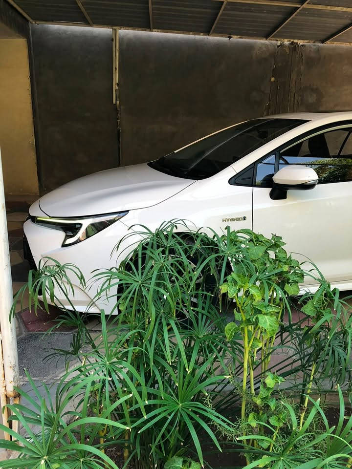 السلام عليكم
كورلا 2024 خليجي فول مكفولة من الصبغ والبارد رقم بغداد تحويل مباشر 
مكان السيارة بغداد 
اتصال/ ***********
اي استفسار اتصال ع الرقم
