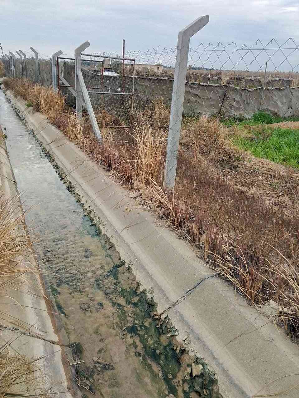 الشاعوره • ٢٠٠٠م • مفوظه بالطابو