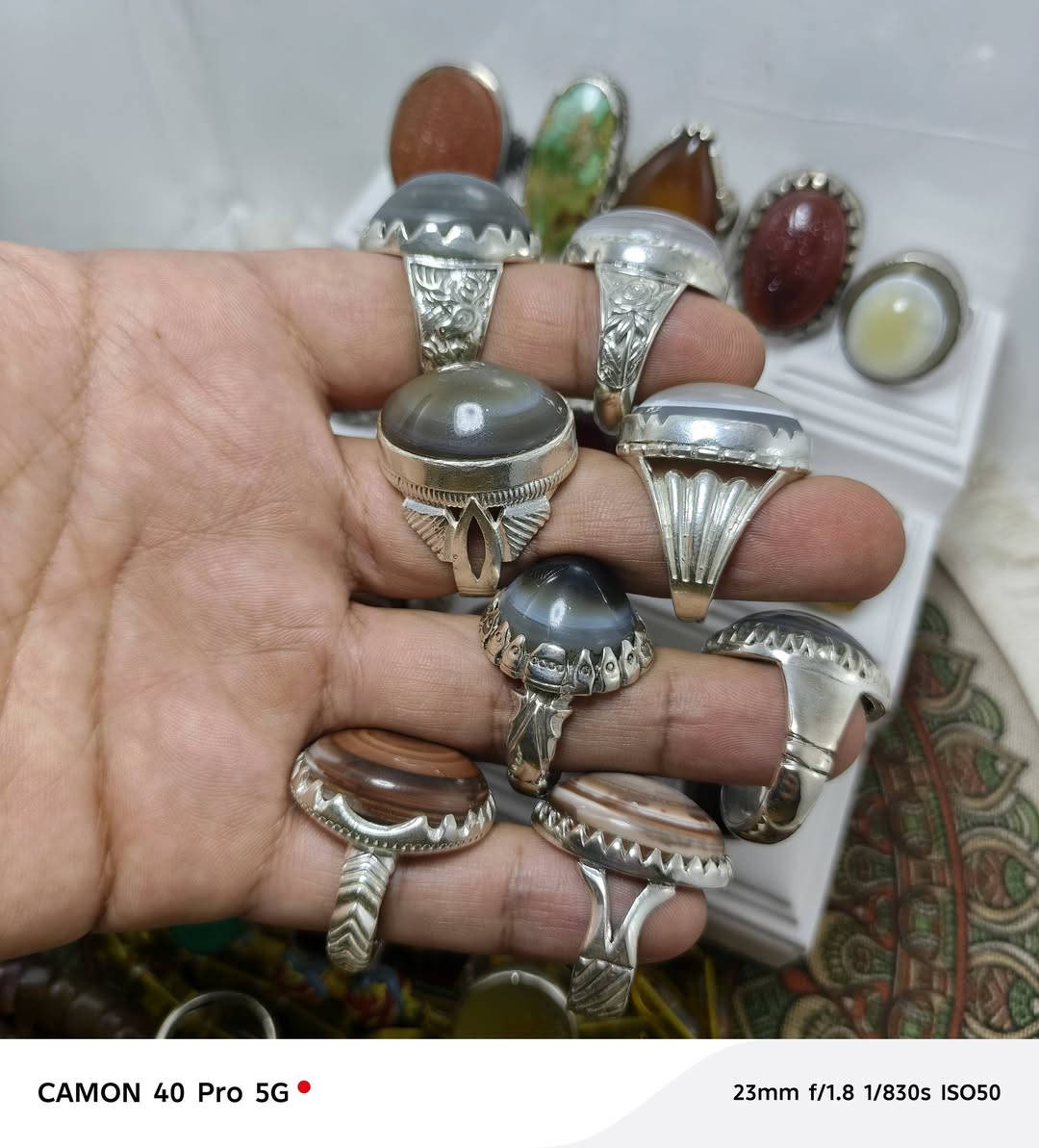 محابس للبيع شلعه وحده عدد ١٥ محبس
السعر والتفاصيل خاص واتساب ‭***********‬
