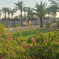 أبو غريب الحمدانية • ٣ دوانم • طابو زراعي