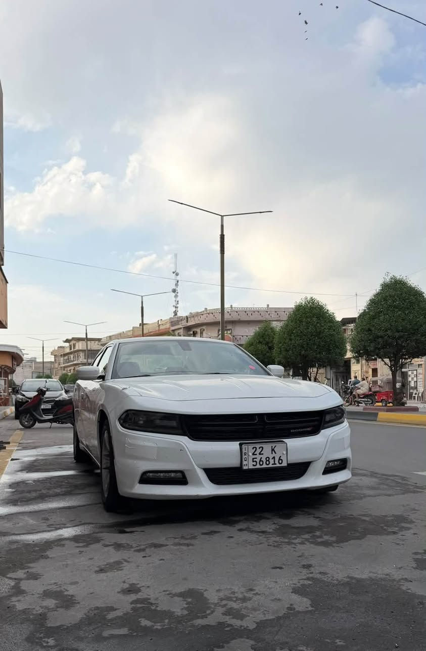 خليجية • ٢٠١٩ • ماشيه ٨٠٠٠٠