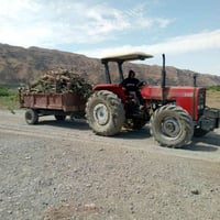 حطب • للبيع