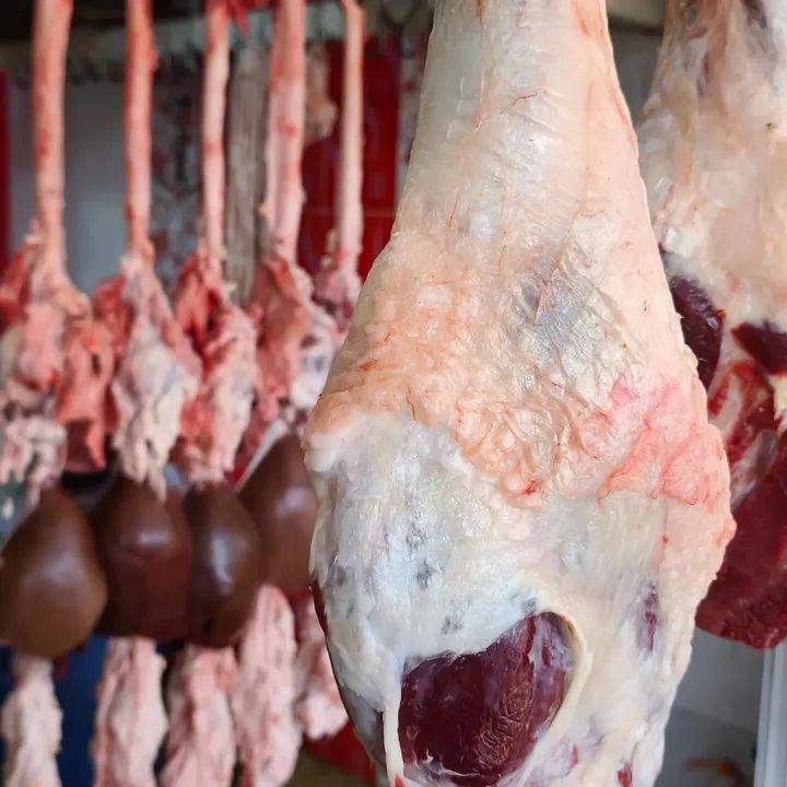لحم طلي • توصيل • الفاطمي