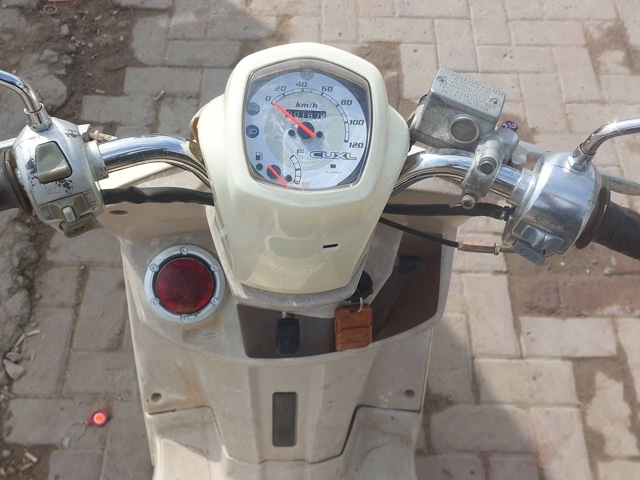 ماكس • نجف • حي الانصار