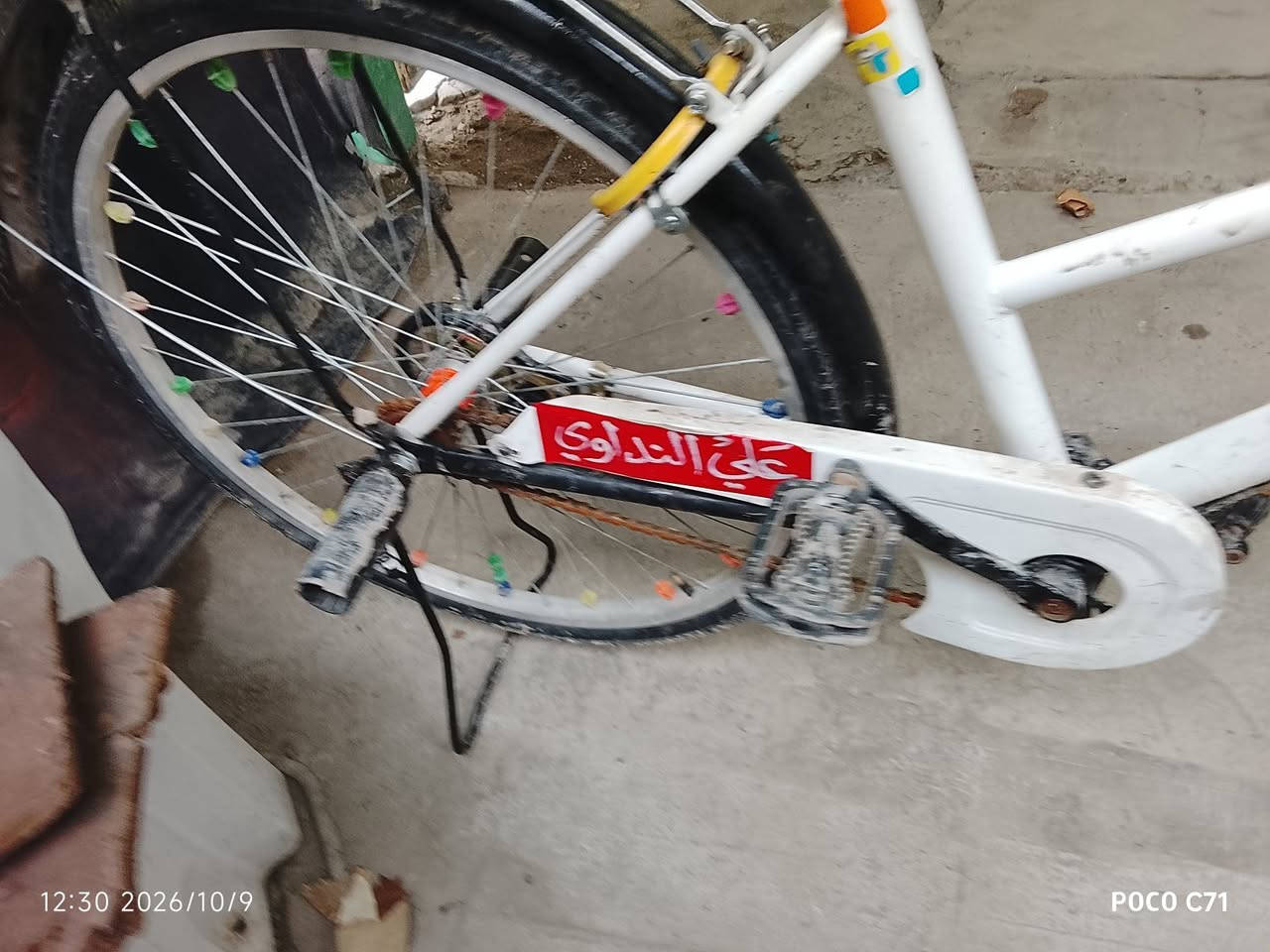 بايسكل • حجم ٢٦ • نظيف جديد