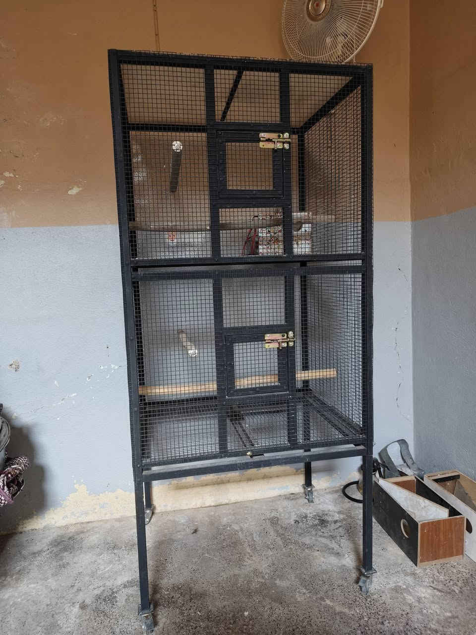 متاح قفص حديد شغل درجه اولى نظام جرارات الارتفاع 170 الجبهه 80 النزال 60 خان مربع 60 × 60 المكان الموس للايمن سعر 125 *********** ***********

