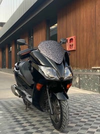 فؤرزا • جوانكاري • انواع