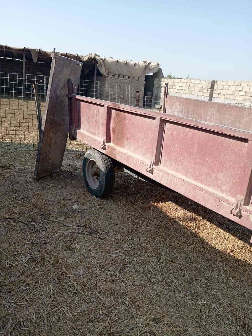 عربانة • سكدريه • للبيع
