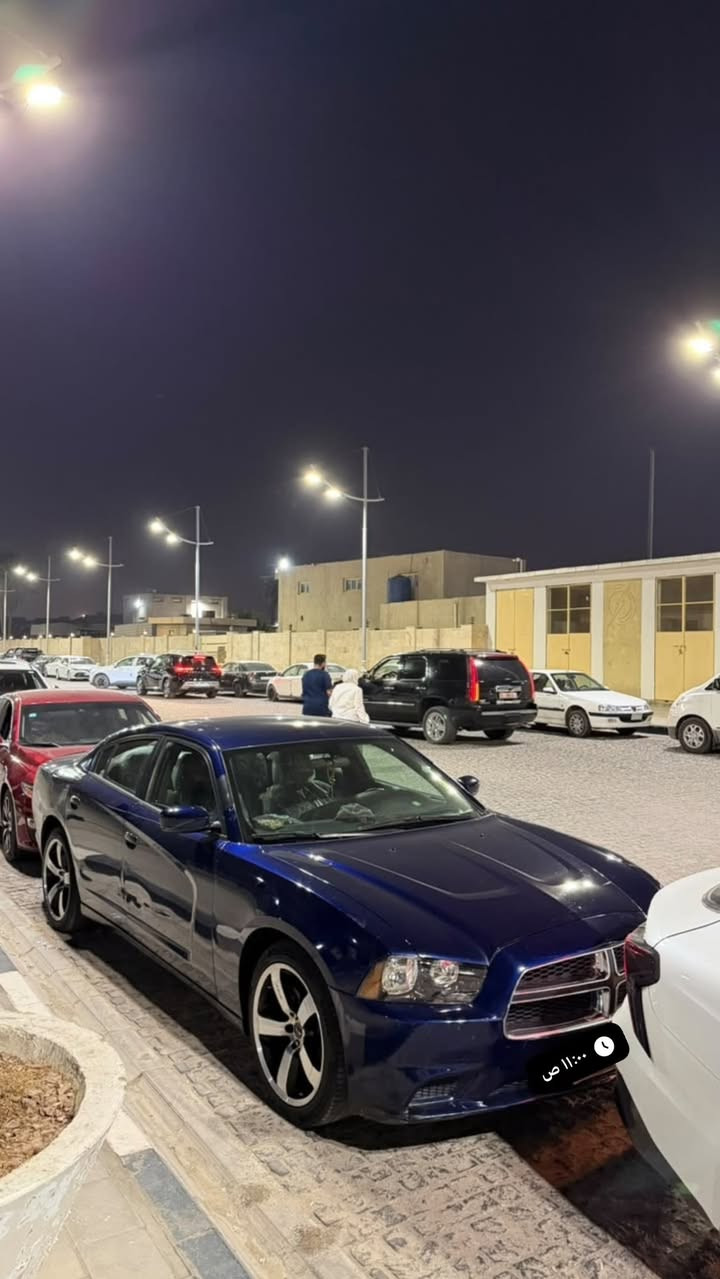 موديل ٢٠١٤ • فول جاهزه • أرقام وسنوية